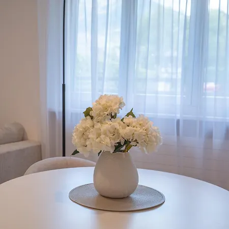 Modern - Lots Of Comfort In A Location